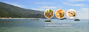 sites_lojas_online_websites_phc_sage_primavera